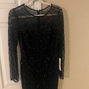 adrianna papell longsleeve evening gown